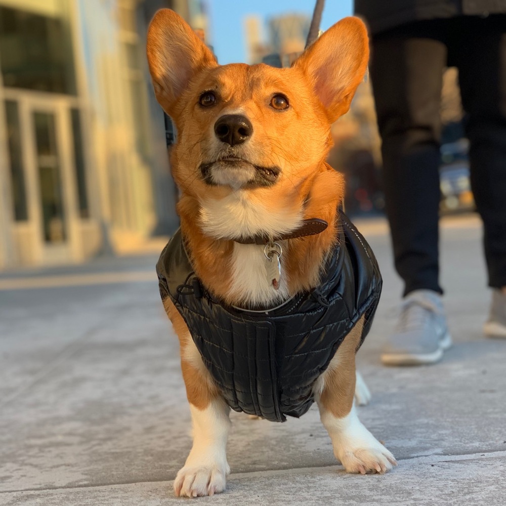 Meet your Posher, Eric